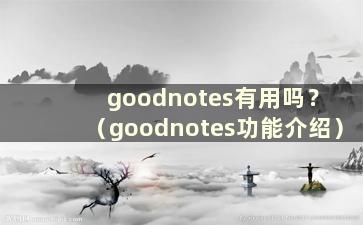 goodnotes有用吗？ （goodnotes功能介绍）